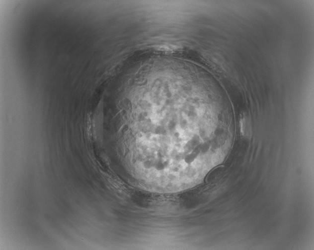 X0000075891347200609291655