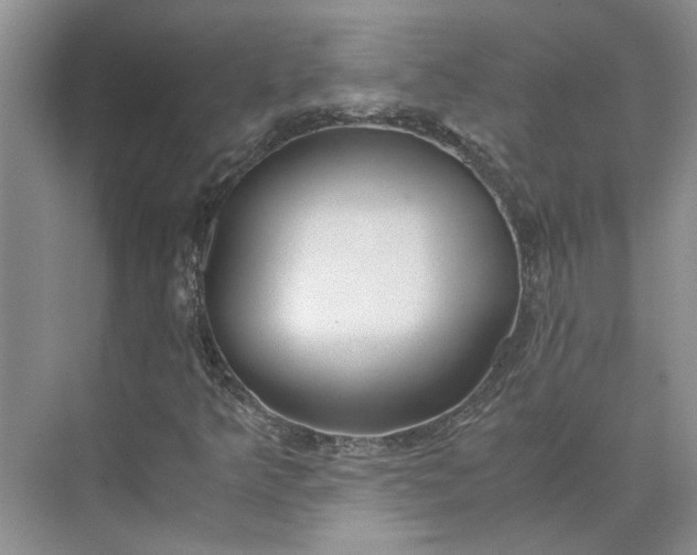 X0000075891349200609291655