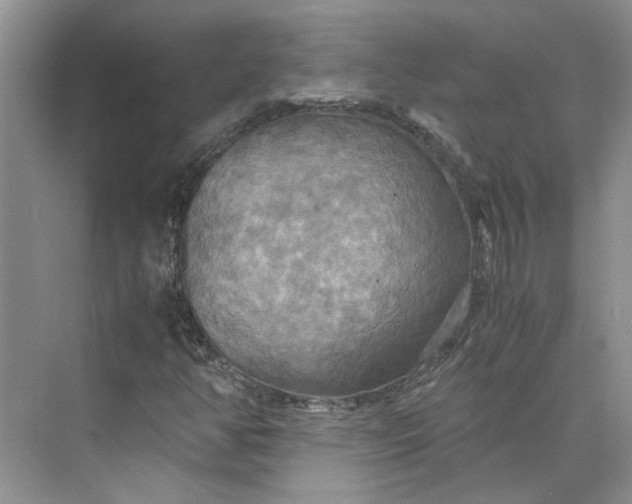 X0000075891350200609291655