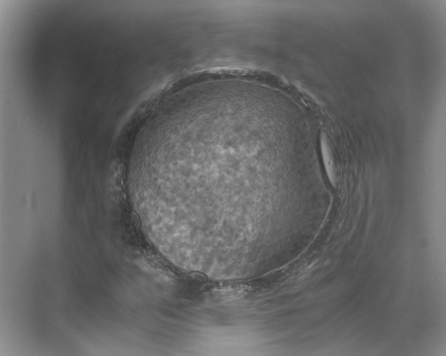 X0000075891351200609291655