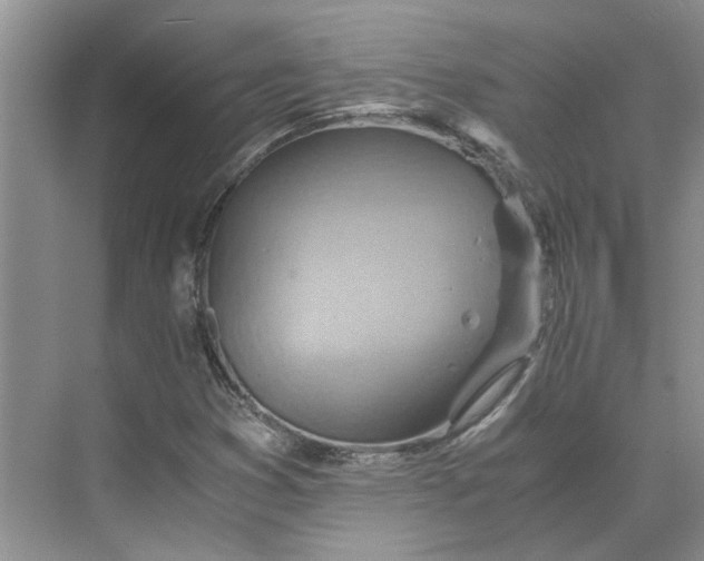 X0000075891353200609291655