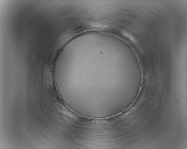 X0000075891354200609291655