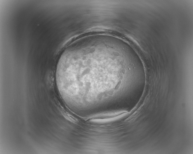 X0000075891355200609291655