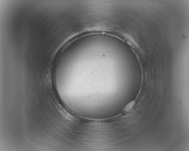 X0000075891356200609291655