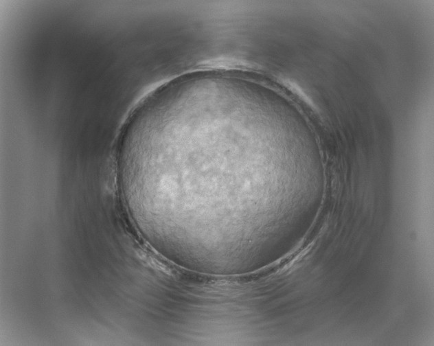 X0000075891358200609291655