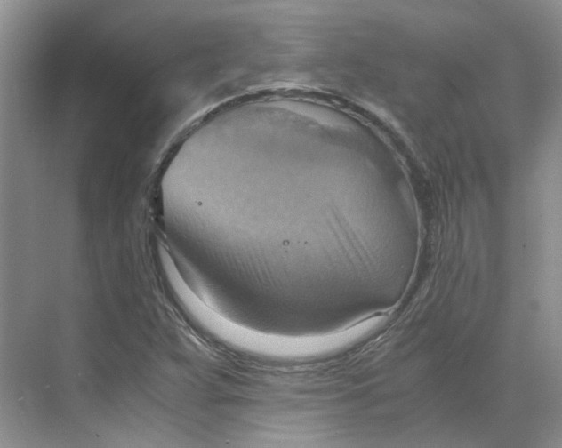 X0000075891359200609291655