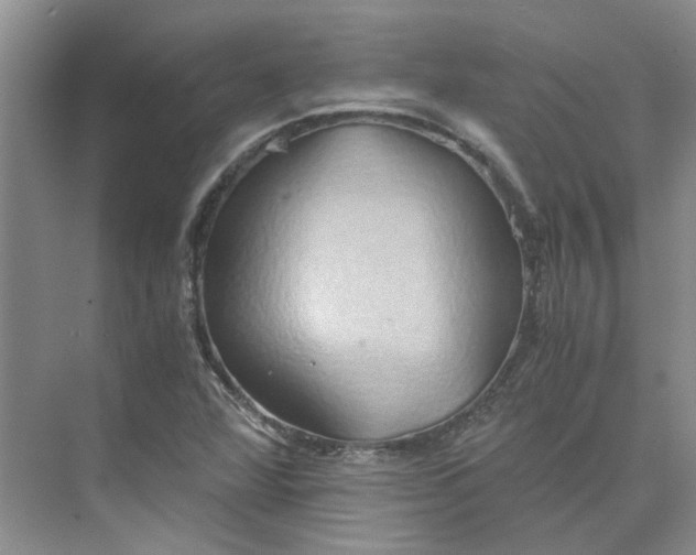 X0000075891360200609291655