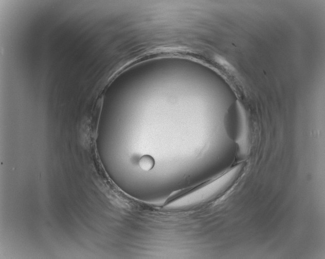 X0000075891361200609291655