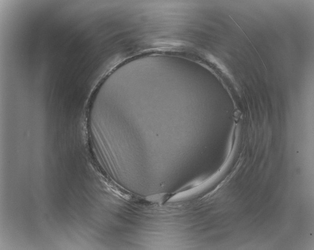 X0000075891362200609291655