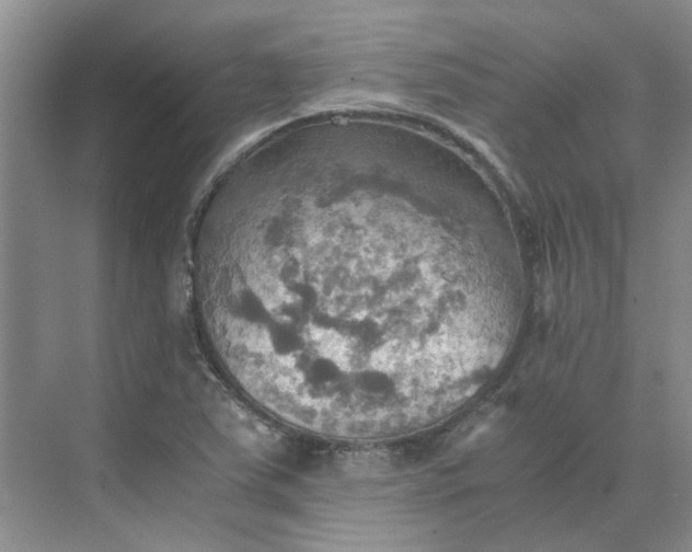 X0000075891363200609291655