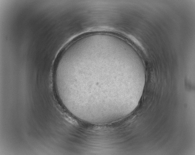 X0000075891364200609291655