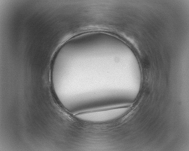 X0000075891365200609291655