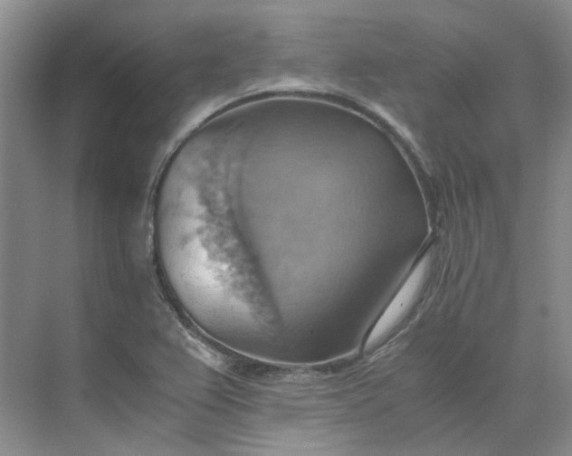 X0000075891367200609291655