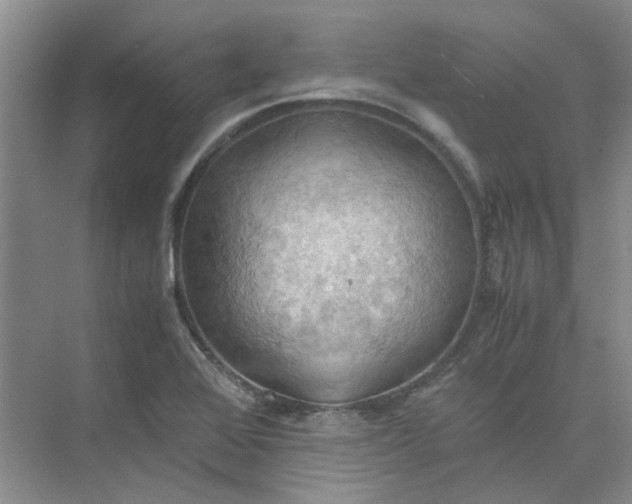 X0000075891368200609291655