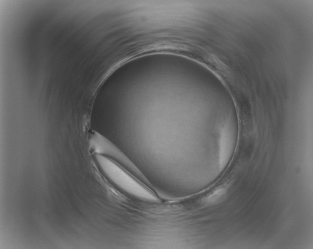 X0000075891369200609291655