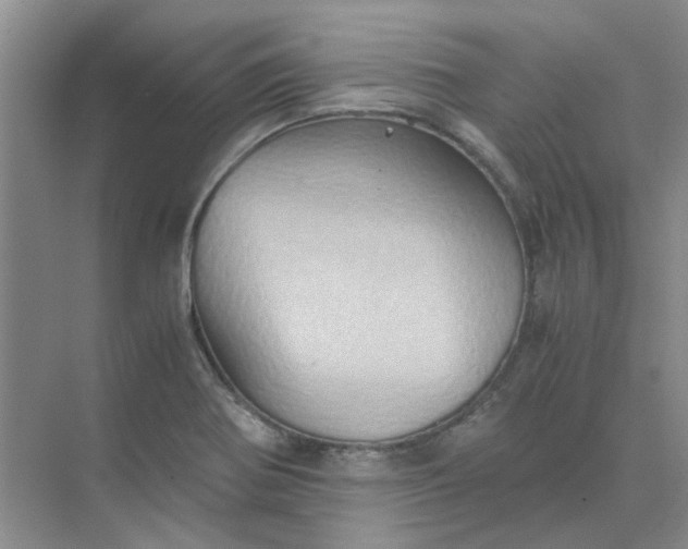 X0000075891370200609291655