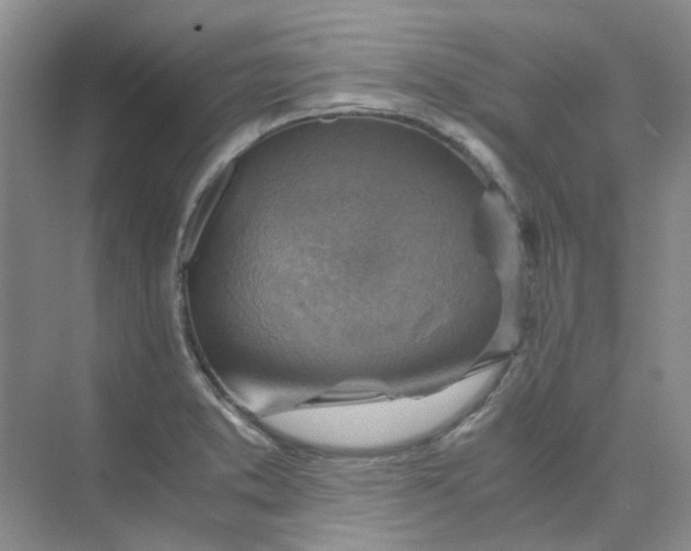 X0000075891373200609291655