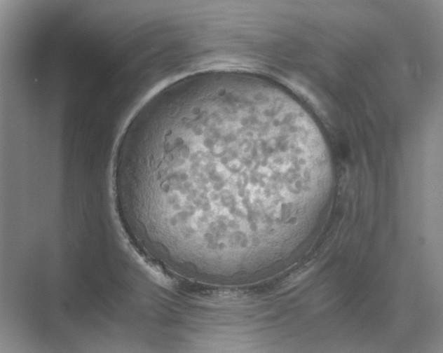 X0000075891375200609291655