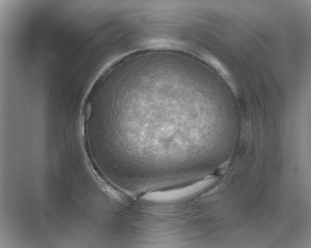 X0000075891376200609291655