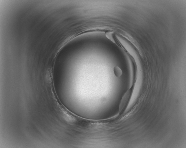 X0000075891377200609291654