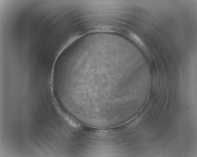 X0000075891378200609291654