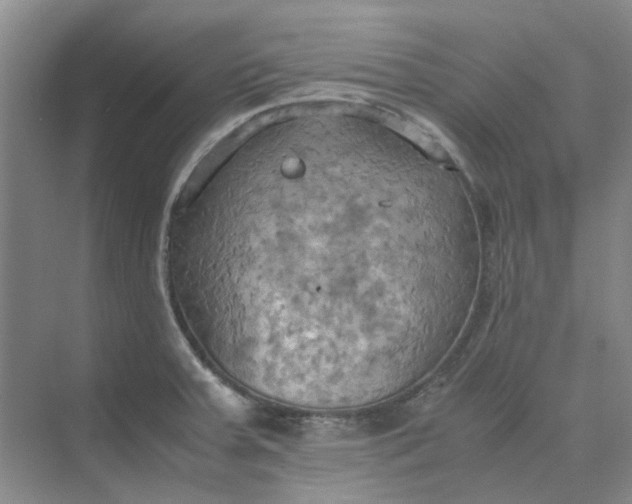 X0000075891379200609291654