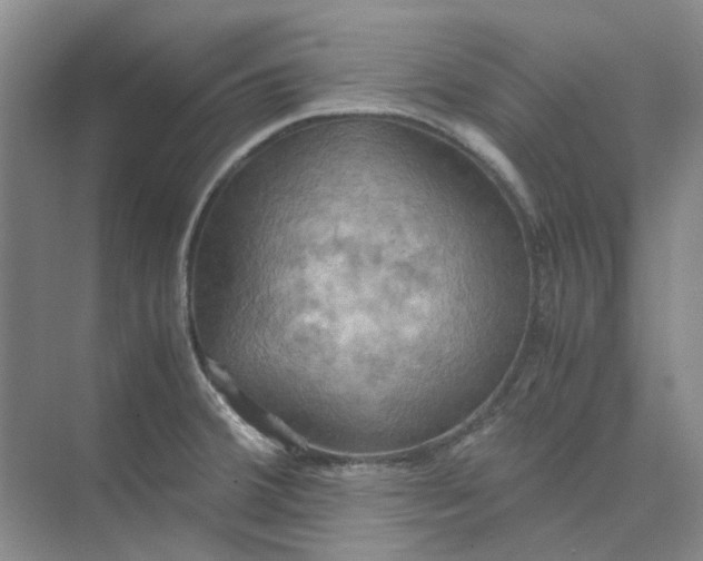 X0000075891380200609291654