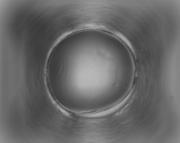 X0000075891381200609291654