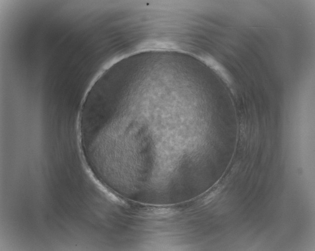 X0000075891382200609291654