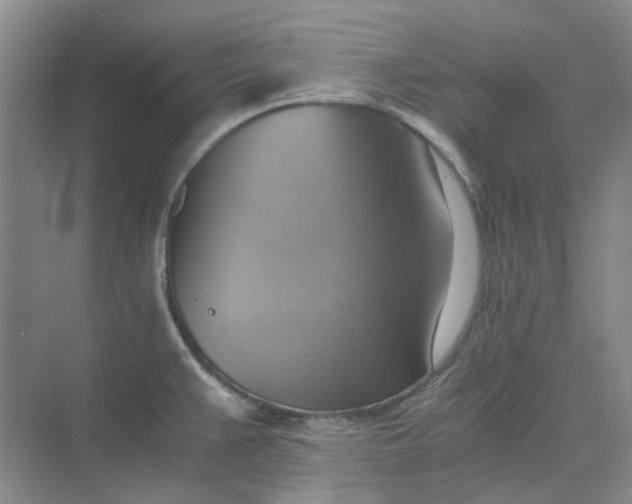 X0000075891383200609291654