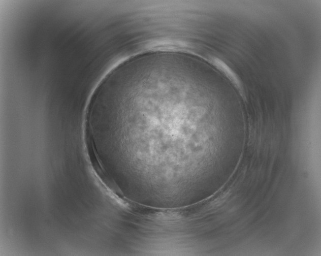 X0000075891384200609291654