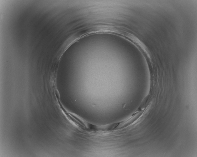 X0000075891385200609291654