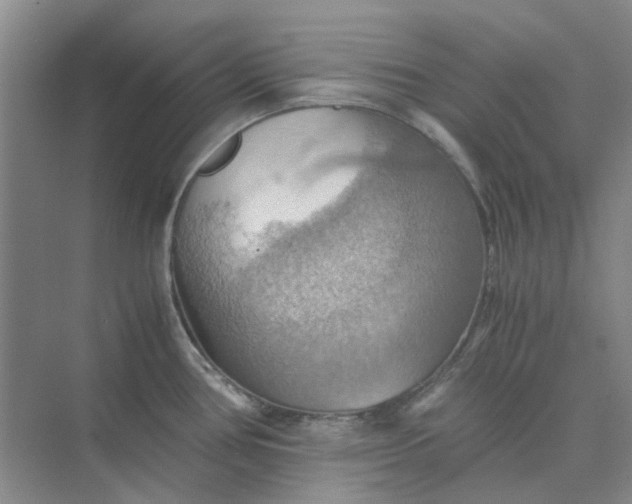 X0000075891386200609291654