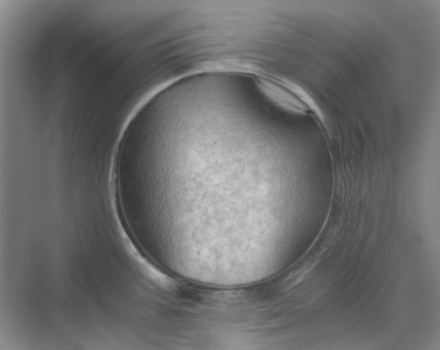 X0000075891387200609291654