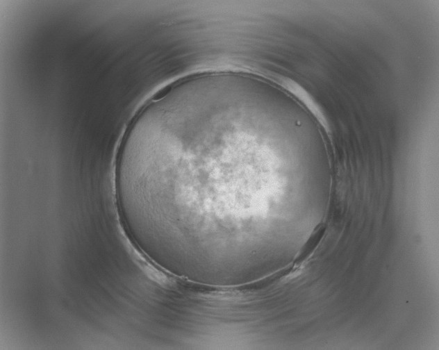 X0000075891388200609291654