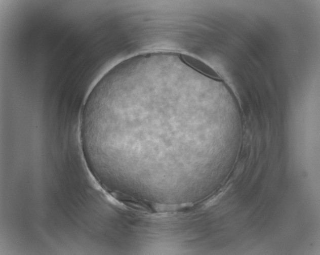 X0000075891390200609291654