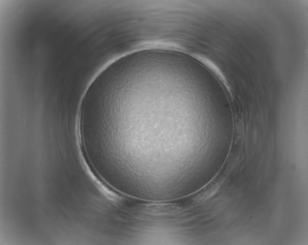 X0000075891391200609291654