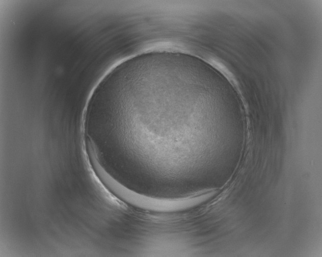 X0000075891392200609291654