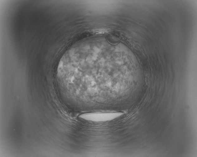 X0000075891393200609291653