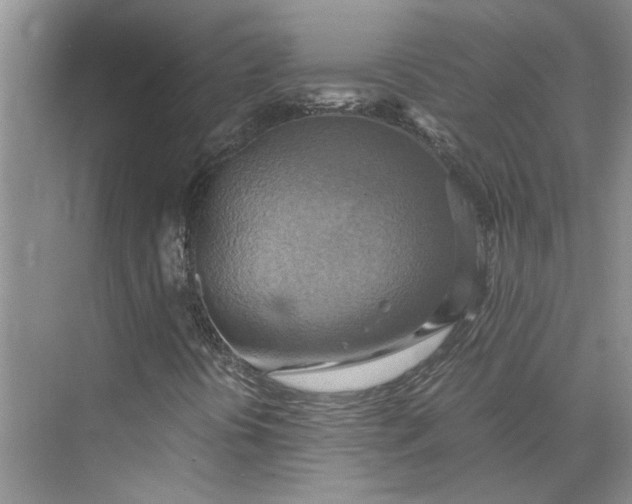 X0000075891394200609291653