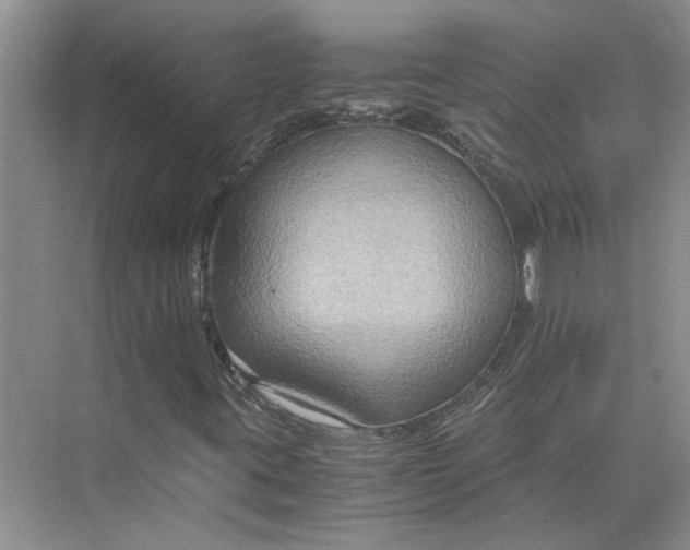 X0000075891395200609291653