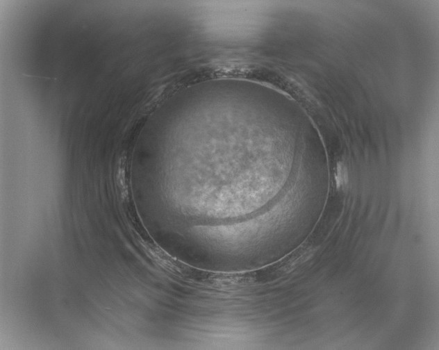 X0000075891396200609291653