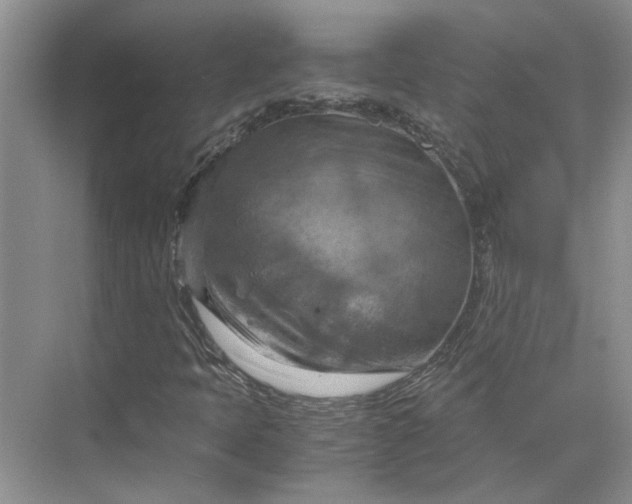 X0000075891397200609291654