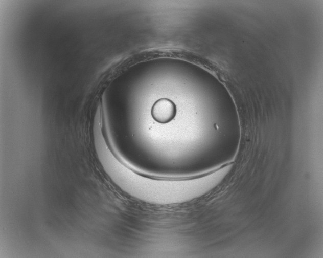 X0000075891398200609291654