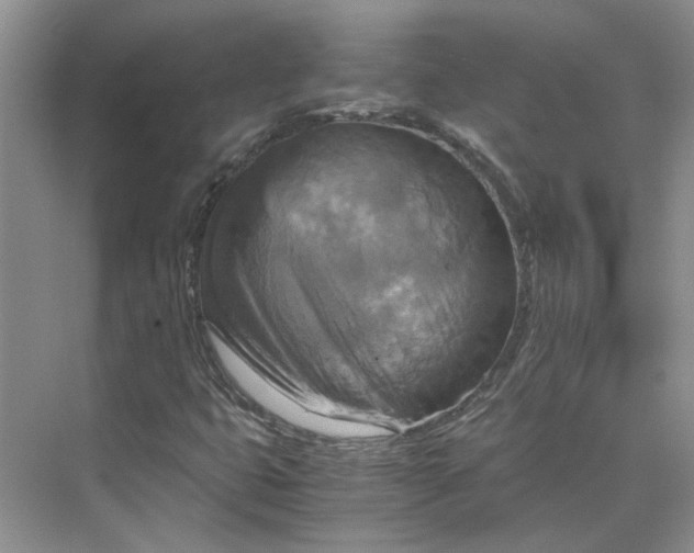 X0000075891399200609291654