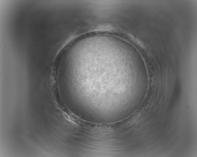 X0000075891400200609291654