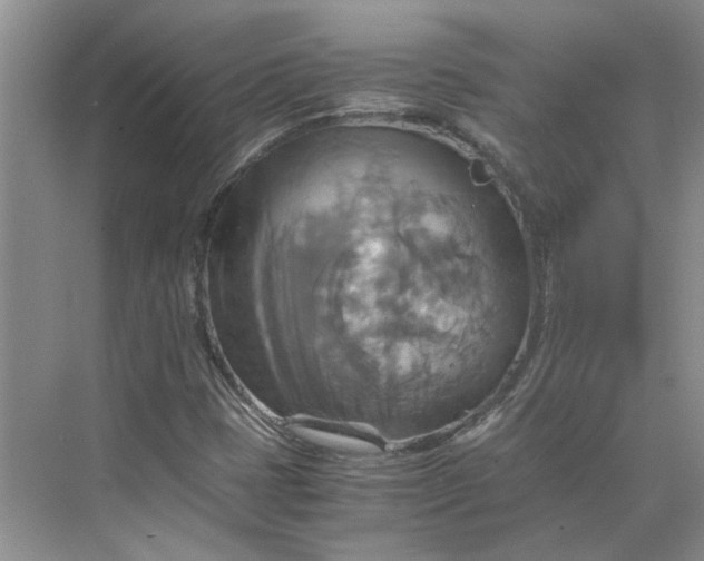 X0000075891401200609291654