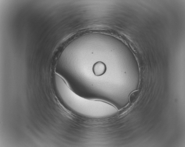 X0000075891402200609291654