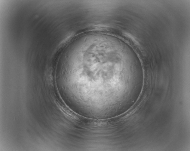 X0000075891403200609291654