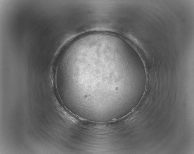 X0000075891408200609291654